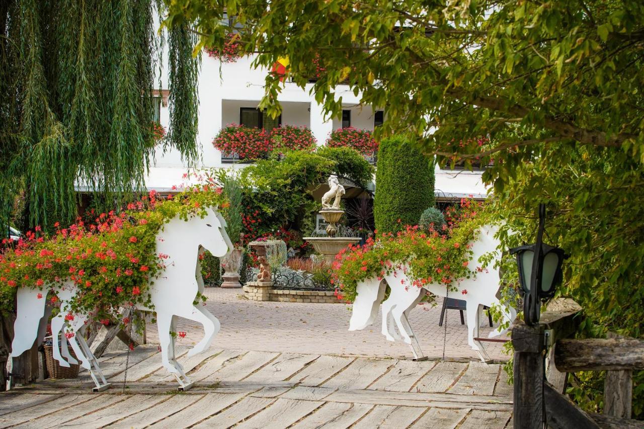 Domeniul Dracula Daneș Hotel Exterior foto