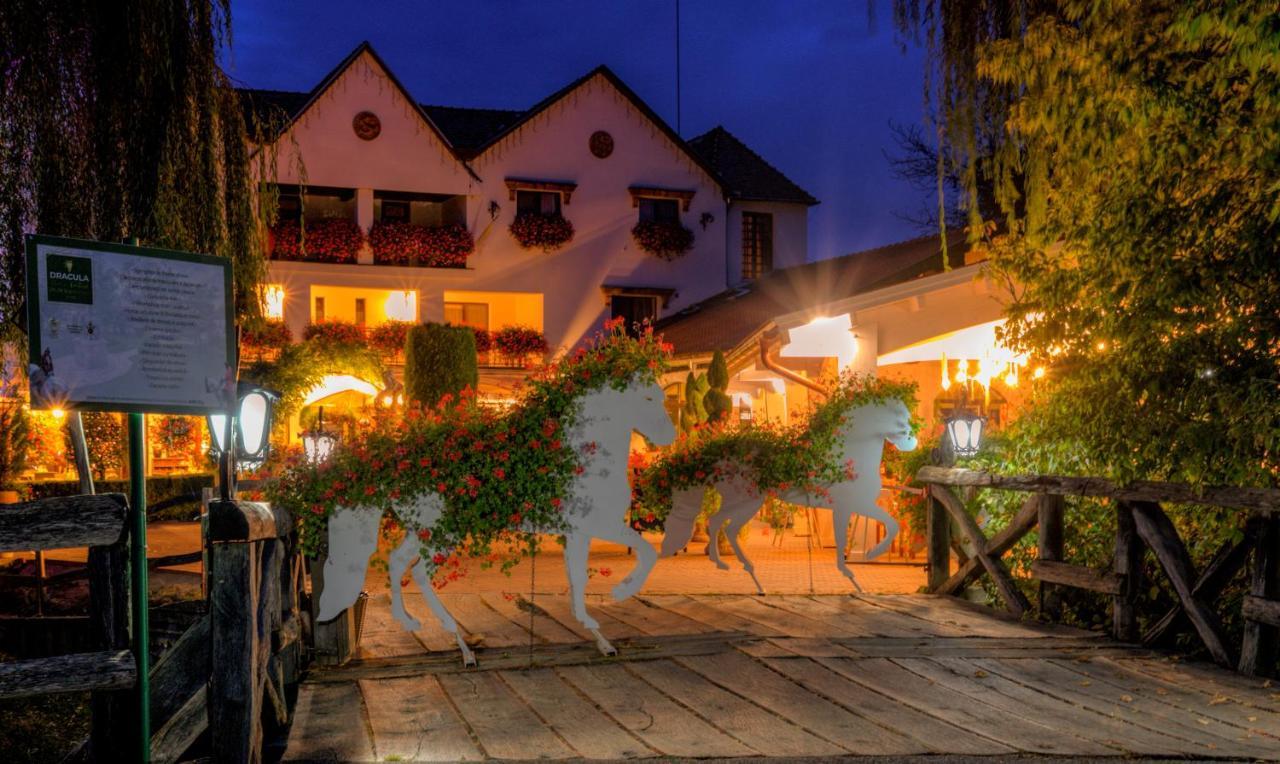 Domeniul Dracula Daneș Hotel Exterior foto
